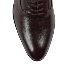 Rochester Oxford - Brown